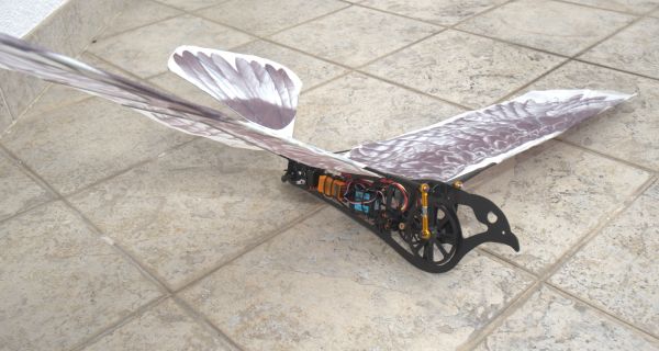 Eagle